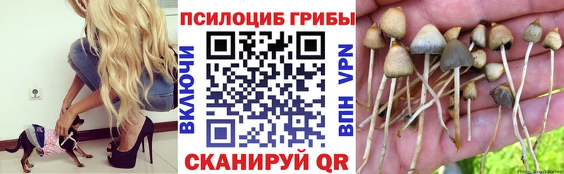 Псилоцибиновые грибы Psilocybine cubensis  Купить где  Мантурово 